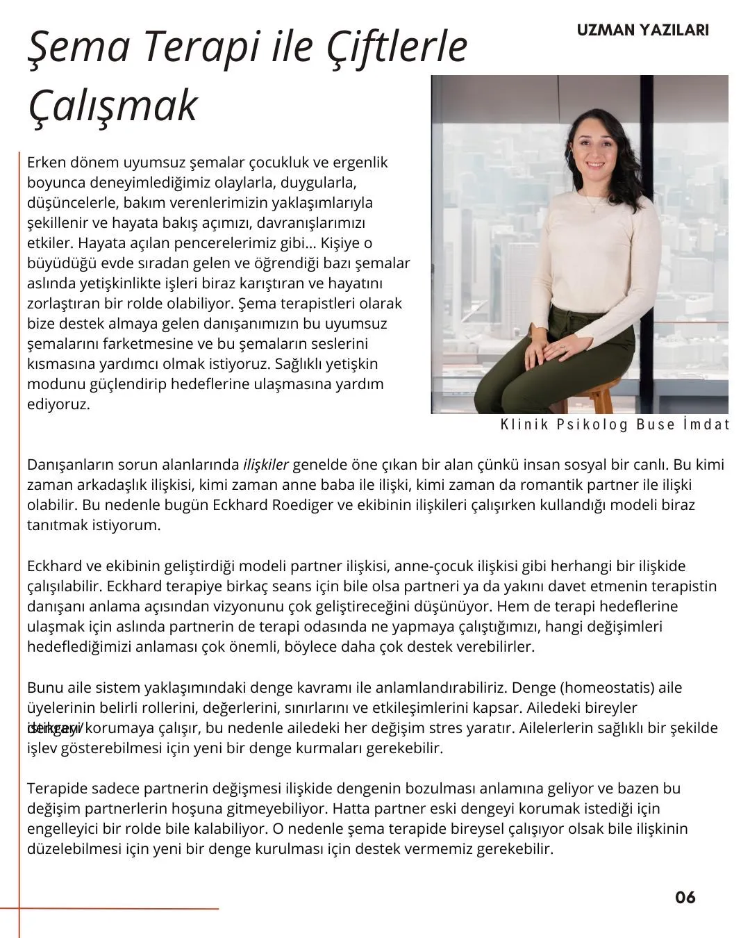 Şema Terapi ile Çiftlerle Çalışmak kapak görseli